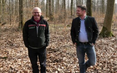 Waldbewirtschaftung des Juliusspitals