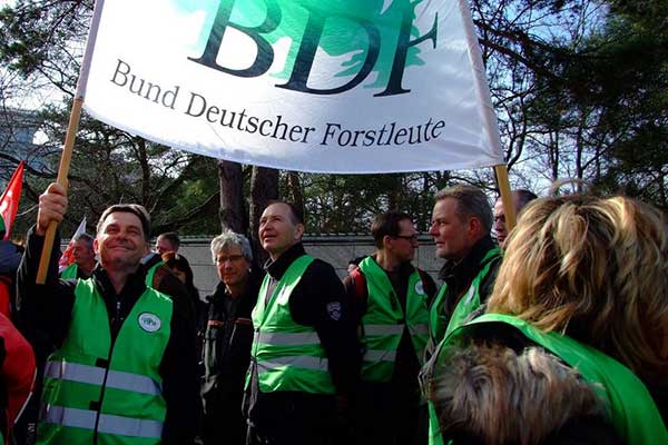 bdf-tvl