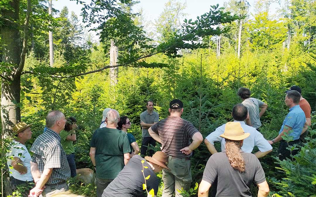 Prüfungssimulation für Forstanwärter Teilnehmerbild