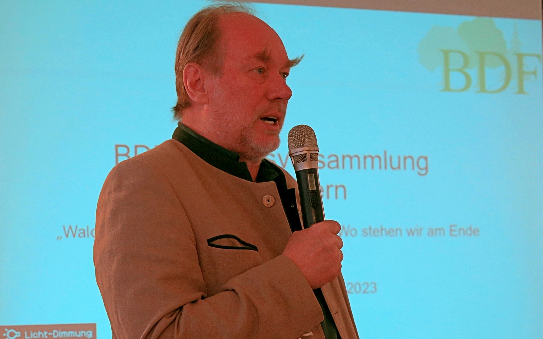 BDF-Senioren des Bezirks Schwaben 2022