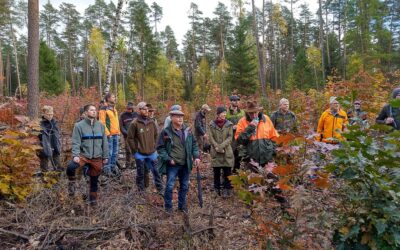 Bericht über die mittelfränkische Waldbauexkursion 2023