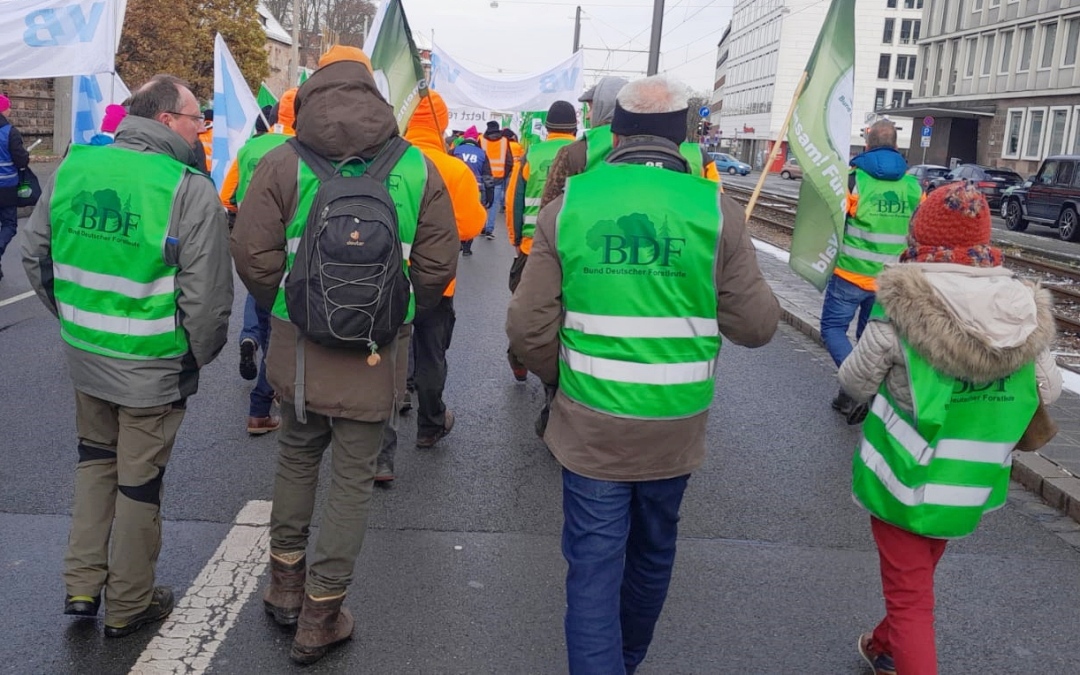 BDF-Senioren des Bezirks Schwaben 2022